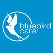 Bluebird